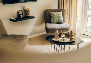 Salon moderne dans une tiny house avec fauteuils confortables, table basse décorative et lumière naturelle.