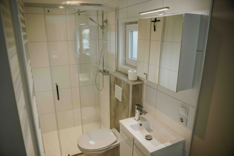 Bagno moderno e compatto in una tiny house con doccia, WC, piccolo lavabo e mobile con specchio.