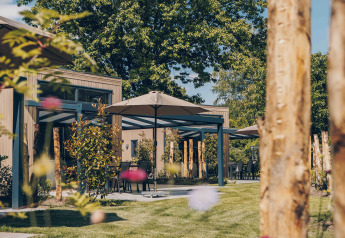 Outdoor lodge area featuring modern patios, umbrellas, lush greenery, and tall trees in a relaxing atmosphere.