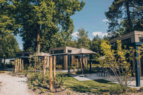 Udendørsbillede af Reeëndal Lodge ved Veluwepark de Bosgraaf i Holland, omgivet af træer og grønne planter.