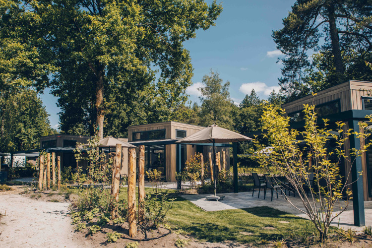 Outdoor view of Reeëndal Lodge at Veluwepark de Bosgraaf, Netherlands, nestled among lush trees and greenery.
