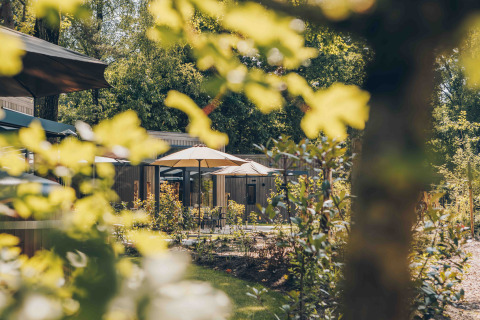 Blick durch grüne Blätter auf die Reeëndal Lodge Comfort im Veluwepark de Bosgraaf in den Niederlanden mit Terrassen.