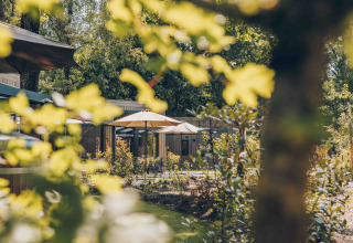 Zicht door groene bladeren op Reeëndal Lodge Comfort in Veluwepark de Bosgraaf, Nederland, met zonnige terrassen.