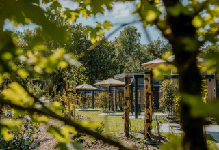 Groene tuinzone met moderne lodges, parasols en bomen bij Reeëndal Lodge Comfort met Hottub in Nederland.