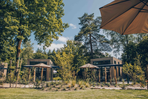 Reeëndal Lodge Comfort: Moderne Holzhütten mit Sonnenschirmen und Garten vor hohem Baumbestand.