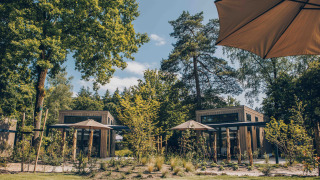 Reeëndal Lodge Comfort: moderne houten lodges, parasols, tuin en hoge bomen op zonnige dag.