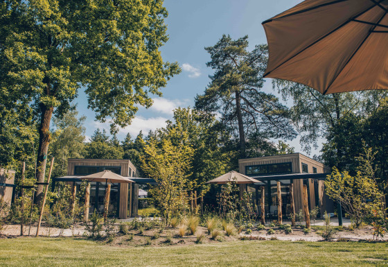 Reeëndal Lodge Comfort: Moderne Holzhütten mit Sonnenschirmen und Garten vor hohem Baumbestand.