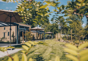 Reeëndal Lodge Comfort at Veluwepark de Bosgraaf in the Netherlands, surrounded by greenery and umbrellas.