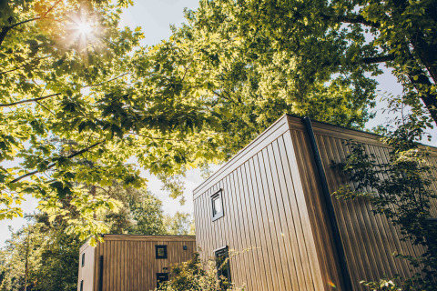 Lodge moderne in legno immerse tra alberi verdi con la luce del sole che filtra tra le foglie