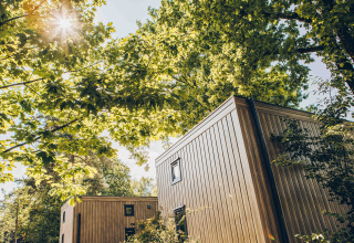 Moderne houten lodgegebouwen te midden van groene bomen, zonlicht schijnt door de bladeren