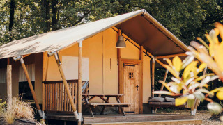 Safari-Zelt im Wald mit Holzterrasse, Picknickbank und Sofa, umgeben von hohen grünen Bäumen.