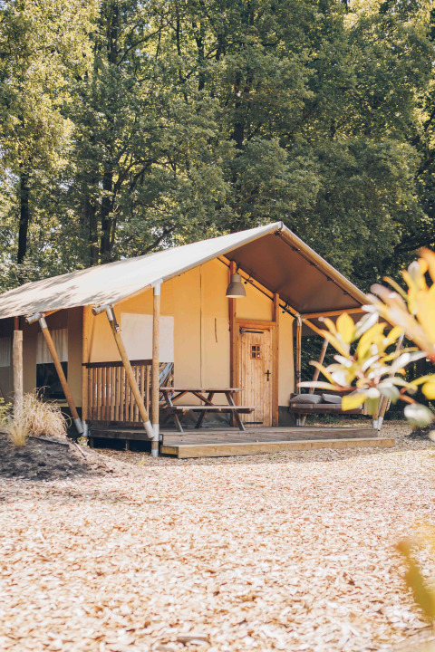 Safari-Zelt im Wald mit Holzterrasse, Picknickbank und Sofa, umgeben von hohen grünen Bäumen.