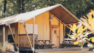 Tenda safari con terrazza in legno, tavolo da picnic e divano, immersa tra alberi verdi e foglie.