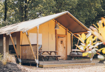 Safaritent op houten terras met picknickbank en zetel, omringd door hoge, groene bomen in het bos.