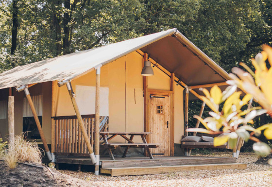Safari-Zelt im Wald mit Holzterrasse, Picknickbank und Sofa, umgeben von hohen grünen Bäumen.