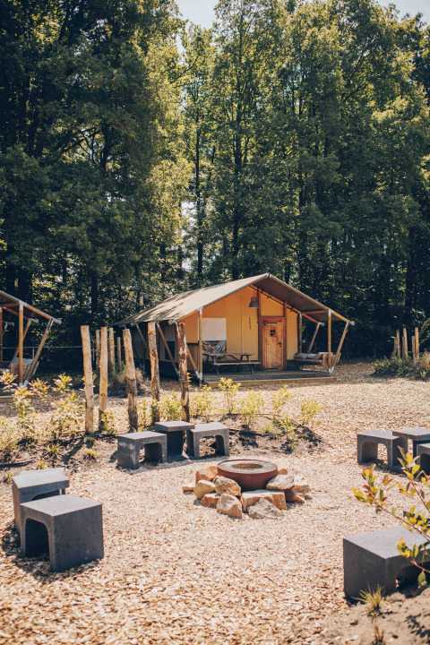Safaritent bij Veluwepark de Bosgraaf in Nederland, met vuurplaats en betonnen bankjes in bosrijke omgeving.