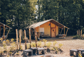 Safari-telt på Veluwepark de Bosgraaf i Nederlandene med bålplads og betonbænke i skovmiljø.