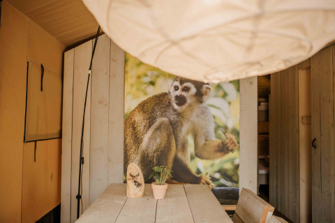 Innenansicht eines Safarizeltes mit großem Affenbild an der Wand im Veluwepark de Bosgraaf, Niederlande.