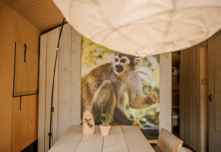 Innenansicht eines Safarizeltes mit großem Affenbild an der Wand im Veluwepark de Bosgraaf, Niederlande.