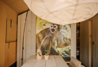 Indretning af safaritelte med et stort abe-billede på væggen i Veluwepark de Bosgraaf, Holland.