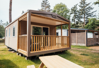 Træhytte ved Loggia Wood med overdækket veranda og udendørs siddeplads omgivet af frodig skov.