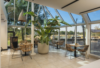 Bright glamping accommodation with glass walls, lush potted plant, and woven chairs in airy setting.