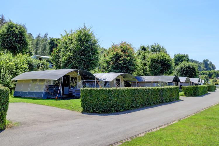 Reihe moderner Zelte auf einem grünen Campingplatz mit Hecken und Bäumen, ideal für Familienurlaub.