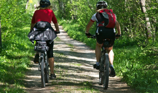 Two people cycling on a forest path surrounded by greenery at a holiday park offering glamping stays.