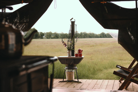 Uitzicht vanuit een tent bij Feather Down De Appelsche met veldbloemen, koffiepot en weilanden in Friesland.