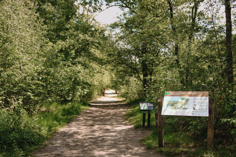 Cartel e inicio de sendero arbolado en Feather Down De Appelsche, parque vacacional en Friesland, Países Bajos.