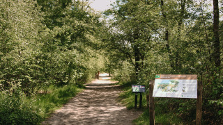 Infobord en bosrijk pad bij vakantiepark Feather Down De Appelsche in Friesland, Nederland, met groen.