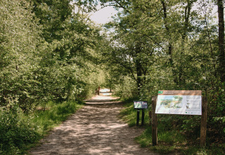 Infobord en bosrijk pad bij vakantiepark Feather Down De Appelsche in Friesland, Nederland, met groen.