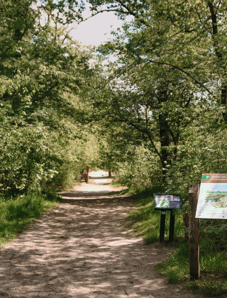 Infobord en bosrijk pad bij vakantiepark Feather Down De Appelsche in Friesland, Nederland, met groen.
