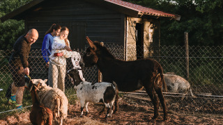 Gezin voert geiten en een ezel naast een hokje in vakantiepark Feather Down De Appelsche, Friesland.
