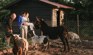 Gezin voert geiten en een ezel naast een hokje in vakantiepark Feather Down De Appelsche, Friesland.