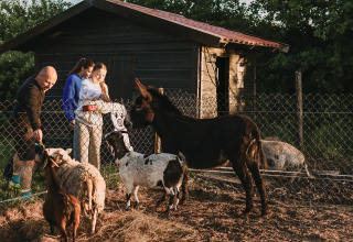 Family feeding goats and a donkey by a shed at Feather Down De Appelsche holiday park in Friesland, Netherlands.