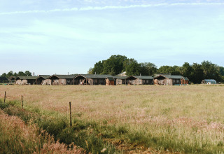 Rij lodgetenten op Feather Down De Appelsche vakantiepark in Friesland, Nederland, omgeven door velden.