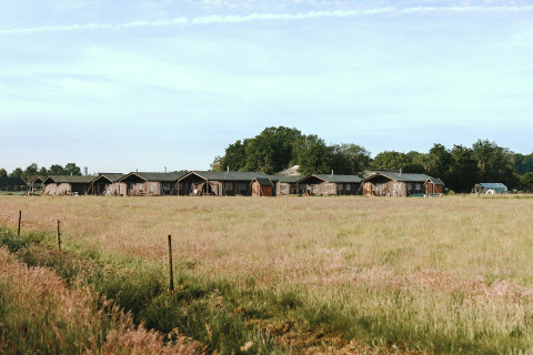 Reihe von Lodgezelten im Feather Down De Appelsche Ferienpark in Friesland, Niederlande, auf einem Feld.