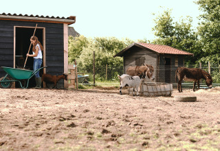 Meisje verzorgt dieren op een boerderij met ezels en geiten bij Feather Down De Appelsche, Friesland.