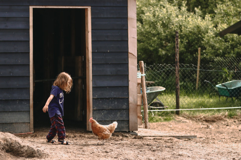Niño con ropa cómoda camina con una gallina frente a un cobertizo en un parque vacacional en Friesland.