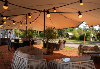 Restaurant en terrasse - _t Schuttenbelt - Enter, Overijssel, Pays-Bas