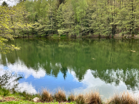 Peaceful lake in Domaine des Messires holiday park, Grand Est, France, with a forest and clear reflections.