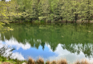 Rolig sø omgivet af grønne træer i Domaine des Messires feriested, Grand Est, Frankrig, med spejlblankt vand.