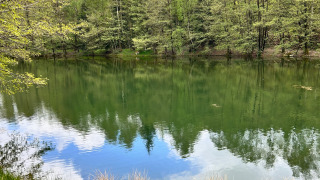 Peaceful lake in Domaine des Messires holiday park, Grand Est, France, with a forest and clear reflections.