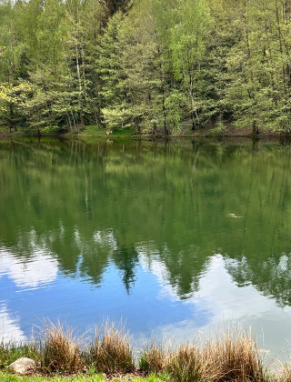 Vredig meer in Domaine des Messires, vakantiepark in Grand Est, Frankrijk, met bos en heldere weerspiegeling.
