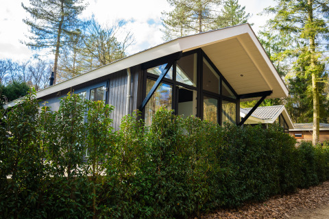 Moderne Bos Cottage lodge med store vinduer og skrånende tag, omgivet af frodig grøn bevoksning og træer.