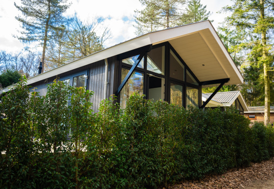 Moderne Bos Cottage lodge med store vinduer og skrånende tag, omgivet af frodig grøn bevoksning og træer.