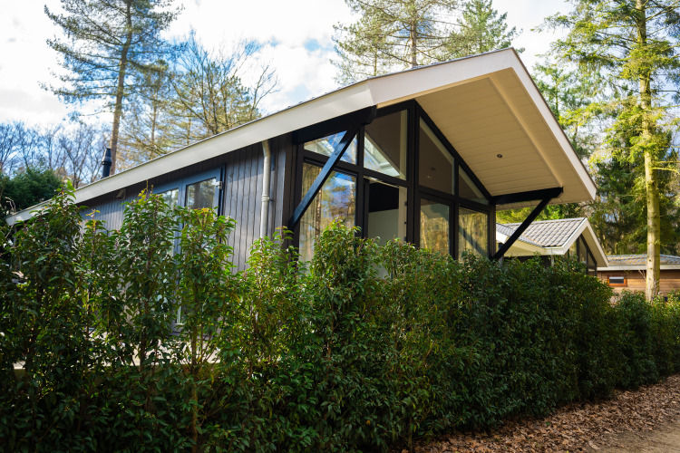 Lodge Bos Cottage moderno con grandes ventanales y techo inclinado, rodeado de vegetación y árboles frondosos.