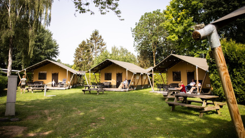 Lodges y mesas de picnic entre árboles en De Scherpenhof, un parque vacacional en Gelderland, Países Bajos.