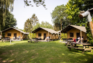 Lodge accoglienti e tavoli da picnic nel verde al De Scherpenhof holiday park in Gelderland, Paesi Bassi.